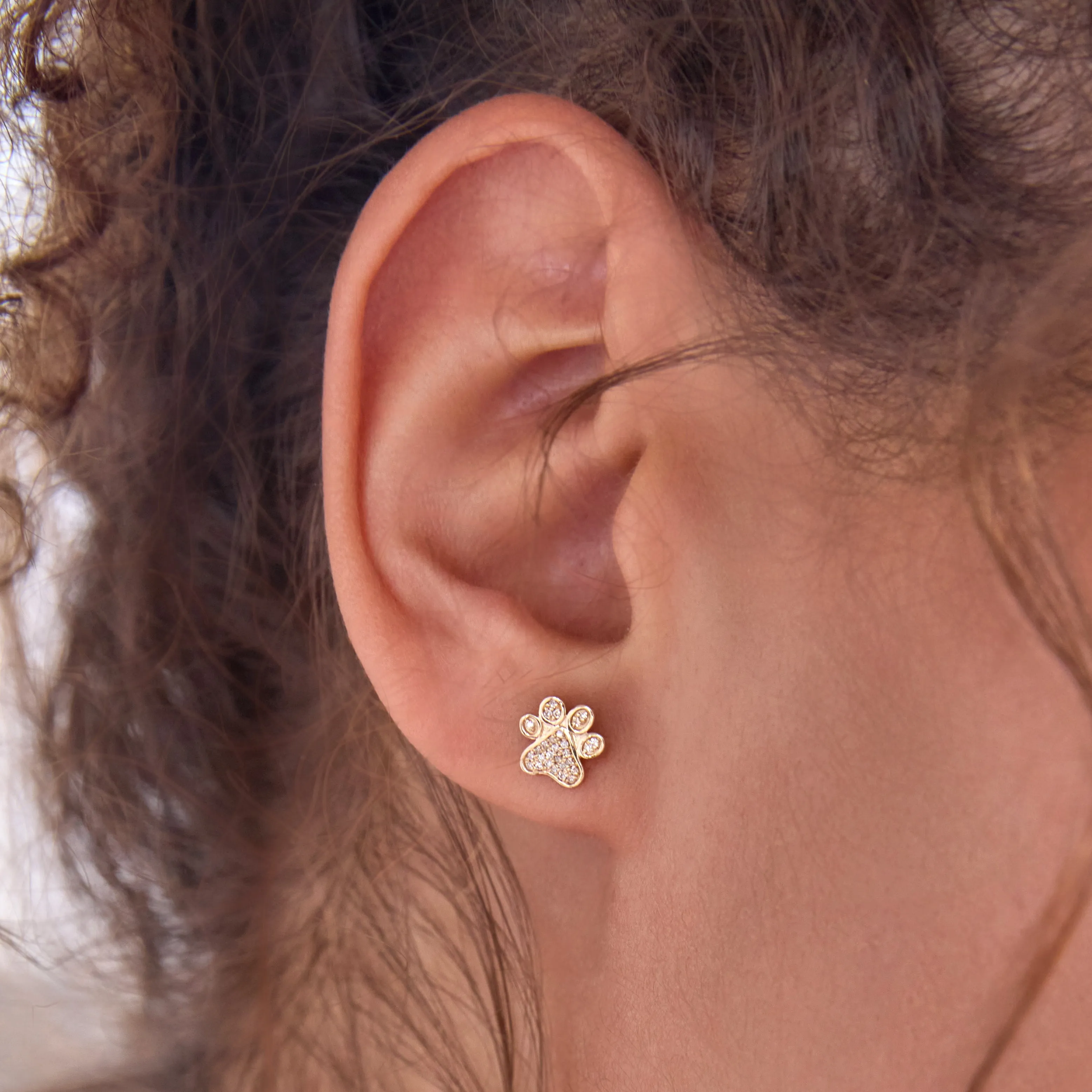 Pav Charm Stud - Paw